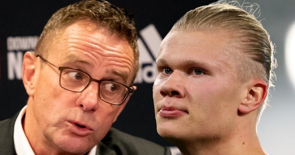 为高阶用户 为高阶用户