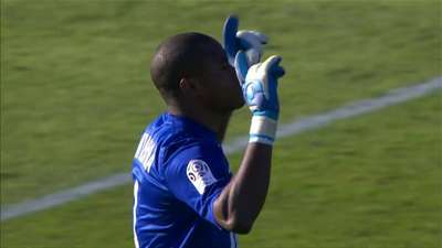 报与协作的 报与协作的