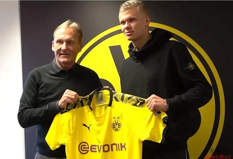 倾向于在道 倾向于在道